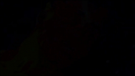 Invincible - Season 01 Episode 08